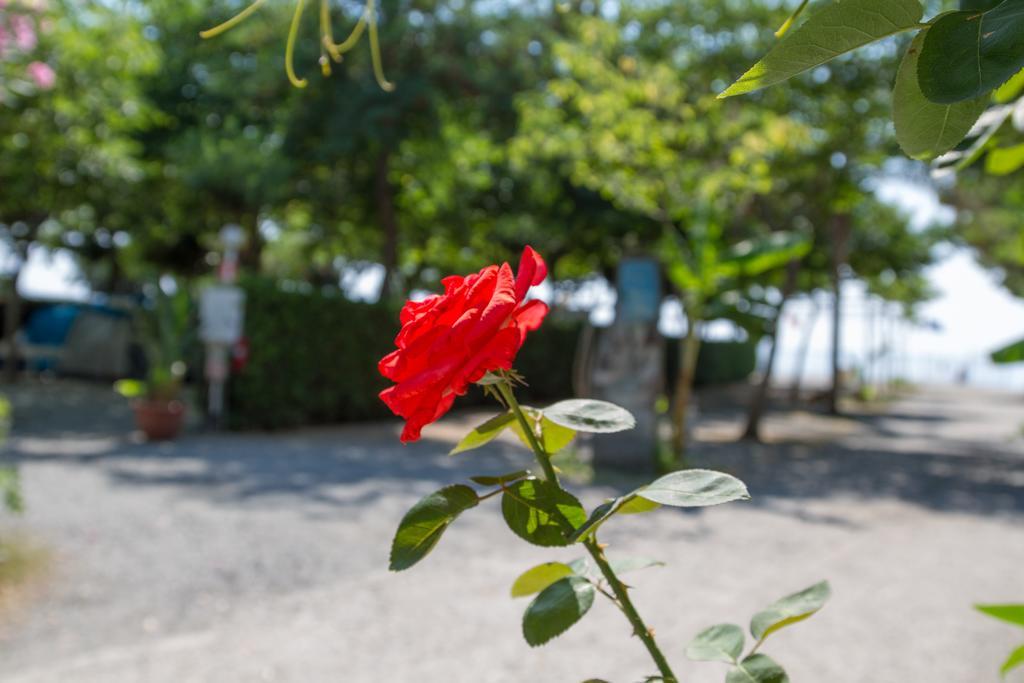 La Focetta Sicula Campsite