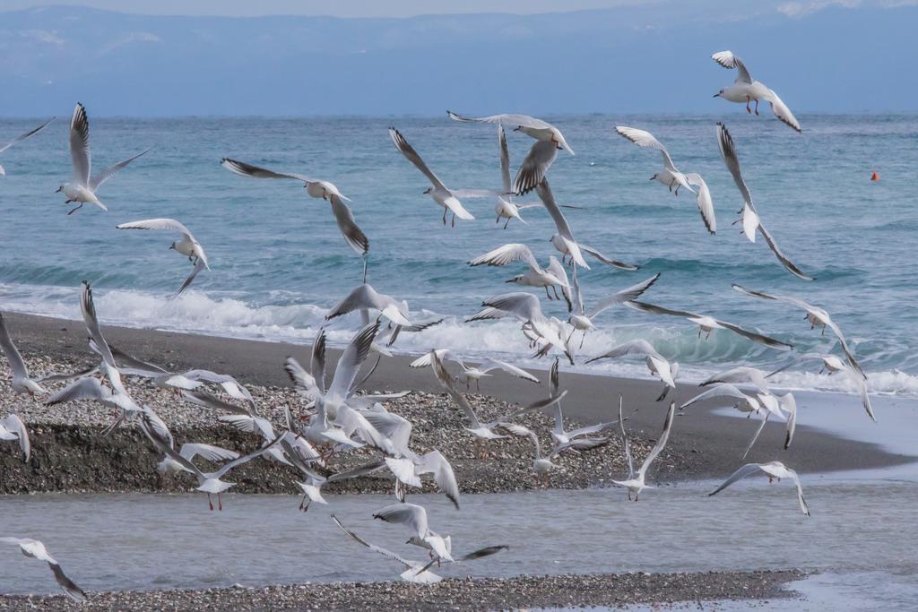 Campsite La Focetta Sicula